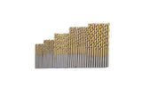 50pcs Titanium Coated Precision HSS Drill Bit Set for Metal Wood