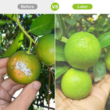 4 Pack Garden Plant Netting Covers Bags with Drawstring Plant Protection Covers Bags