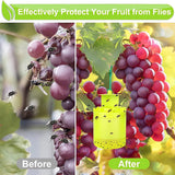 Hanging Fly Trap Fruit Fly Trap Bug Trap
