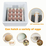12/24 Egg Incubator Fully Automatic Digital Led Turning Chicken Eggs Poultry