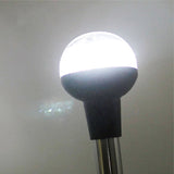 Stainless Steel LED Pole Folding Anchor Light - 241mm, 12V