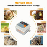 12/24 Egg Incubator Fully Automatic Digital Led Turning Chicken Eggs Poultry