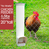 PVC Tube Poultry water with Horizontal Nipple Feeder for Rooster Poultry Coop