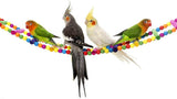 10PCS Parrot Hanging Swing Bird Toy Harness Cage Ladder Parakeet Cockatiel Budgie