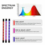 4 Head 40W 80 LED Grow Light Growing Veg Flower Indoor Clip Plant Lamp