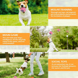 10 PCS Durable Cotton Rope Pet Dog Toys Puppy Chew Bite Pull Teeth Toy Gift
