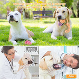 10 PCS Durable Cotton Rope Pet Dog Toys Puppy Chew Bite Pull Teeth Toy Gift
