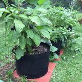 5x Fabric Plant Pots Grow Bags with Handles 10 Gallon