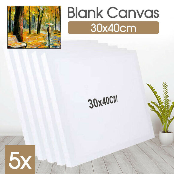 5x Blank Canvas Art Supply Professional Quality Stretched Canvas White 30X40cm
