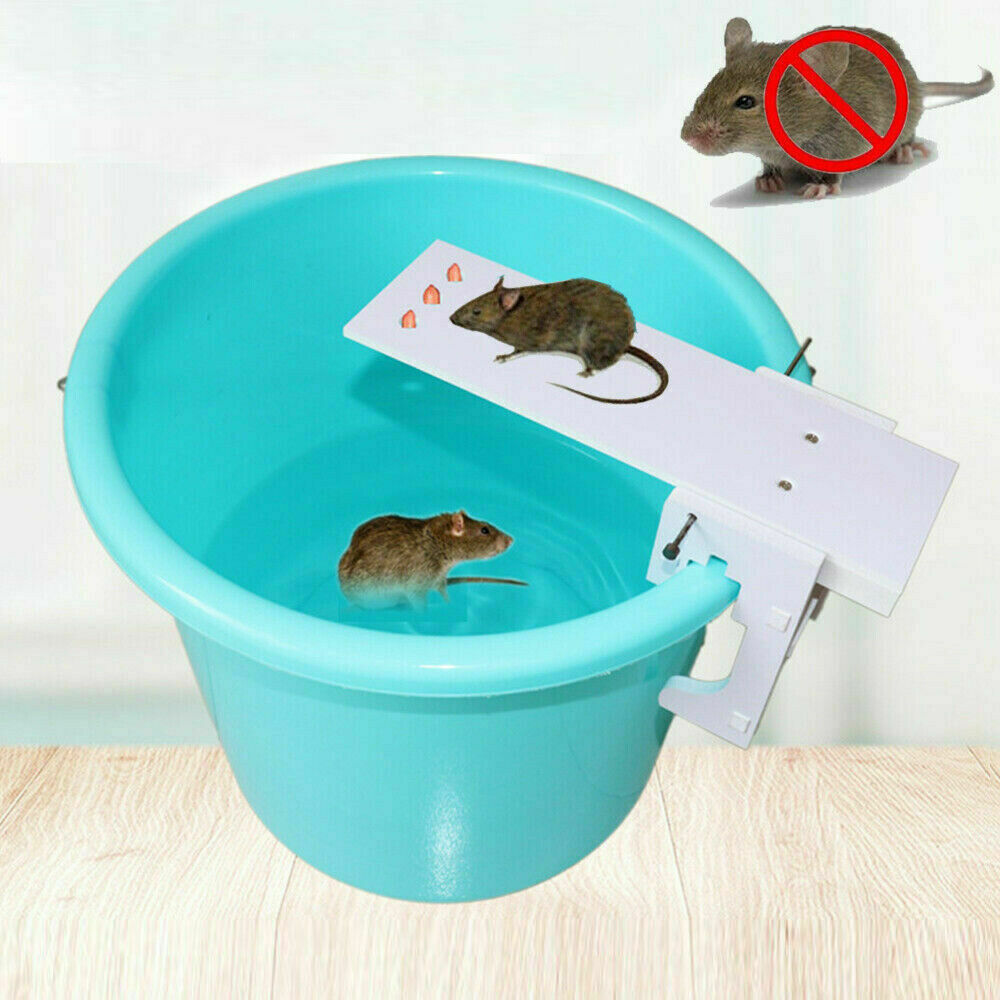 Walk The Plank Rat/mouse Roller Trap