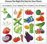 Fabric Plant Pots Grow Aeration Bags with Handles  7 Gallon Planter Basket