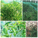 2Pcs Anti Bird Netting Garden Net Mesh Protect Cover