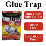 4pcs Safe Catcher Trapper Max Mice Traps Board Mouse Rat Board Kitchen