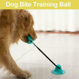 Interactive Rubber Pet Molar Bite Floor Suction Cup Dog Balls Puppy Chew Toy