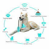 Interactive Rubber Pet Molar Bite Floor Suction Cup Dog Balls Puppy Chew Toy