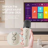 Karaoke speaker with Wireless Microphones for Adults/Kids Bluetooth Speaker