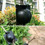 5x Plant Rooting Device High Pressure Propagation Ball Root Grow Grafting Box