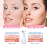 Nano Ionic Face Steamer Facial Humidifier Spa Mist Unclogs Pores Moisturizing