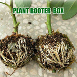 5x Plant Rooting Device High Pressure Propagation Ball Root Grow Grafting Box