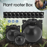 5x Plant Rooting Device High Pressure Propagation Ball Root Grow Grafting Box