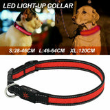 USB Rechargeable LED Dog Collar/ Leash Glow Light Up Night Safety Pet Collars Red