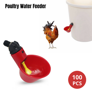 100pcs Automatic Poultry Water Feeder Chicken