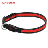 USB Rechargeable LED Dog Collar/ Leash Glow Light Up Night Safety Pet Collars Red