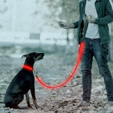 USB Rechargeable LED Dog Collar/ Leash Glow Light Up Night Safety Pet Collars Red