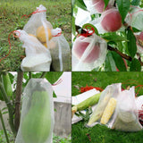 50pcs Agriculture Garden Fruit Vegetable Protection Exclusion Mesh Net Bags