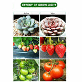 225LED 2000W Grow Light Hydroponic Kits Growing Plant Indoor Lamp