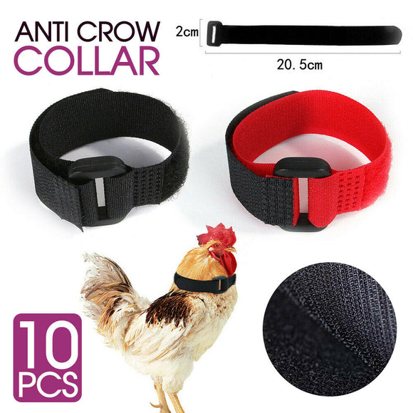10PCS Anti Crow Collar for Roosters Cockerel No Crow Noise Neck Belt Nylon