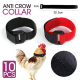 10PCS Anti Crow Collar for Roosters Cockerel No Crow Noise Neck Belt Nylon