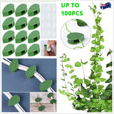 Invisible Wall Vines Fixture Sticky Hook Wire Clips Climbing Plants Ties Holder