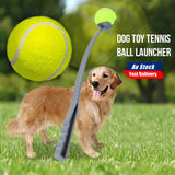 Pet Dog Puppy Tennis Ball Grey Launcher Chucker Thrower Long 50cm with Ball