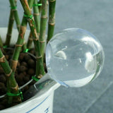 2/10/20Pcs Plant Water Bulbs Self Watering Globes Automatic Water Device Ball
