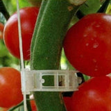Tomato Veggie Garden Plant Support Clips For Trellis Twine Greenhouse