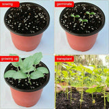 100 PCS Plastic Plant Flower Pots 8 sizes Nursery Seedlings Container Flowerpot