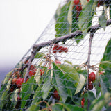 Bird Netting Net Anti Pest Commercial Fruit Trees Plant 5x5m 30GSM