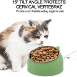 Pet Dog Cat Food Bowl Raised No Slip Stainless Steel Tilted Water Food Feeder