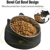 Pet Dog Cat Food Bowl Raised No Slip Stainless Steel Tilted Water Food Feeder