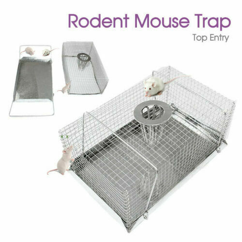 Rodent Mouse Trap – Top Entry Mouse Trap Catch Rat Trap Catch Humane Rat Cage