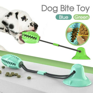 Interactive Rubber Pet Molar Bite Floor Suction Cup Dog Balls Puppy Chew Toy