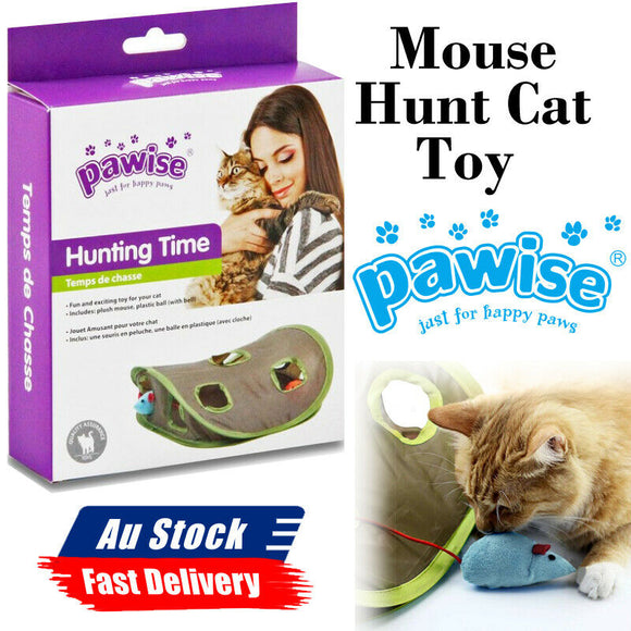 Multicolor Lightweight Hunting Time Pawise Mouse Hunt Cat Toy Curious Cats